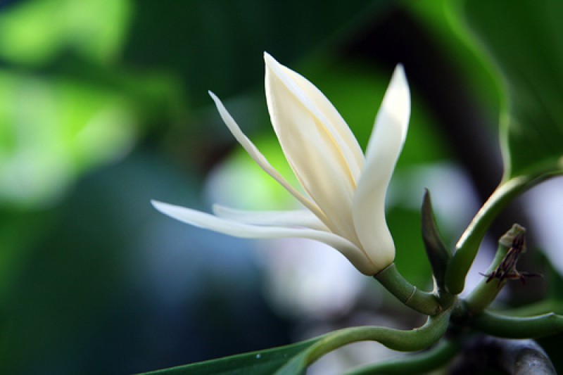 Lời thầm