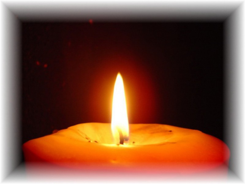 Cầu nguyện trong ngày: 31.07.2012