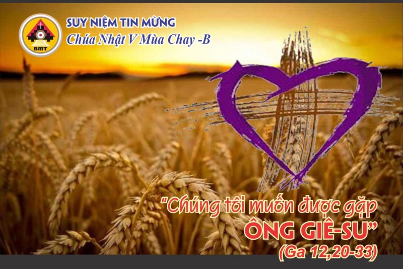 Suy niệm Tin Mừng Chúa Nhật V Mùa Chay -Năm B