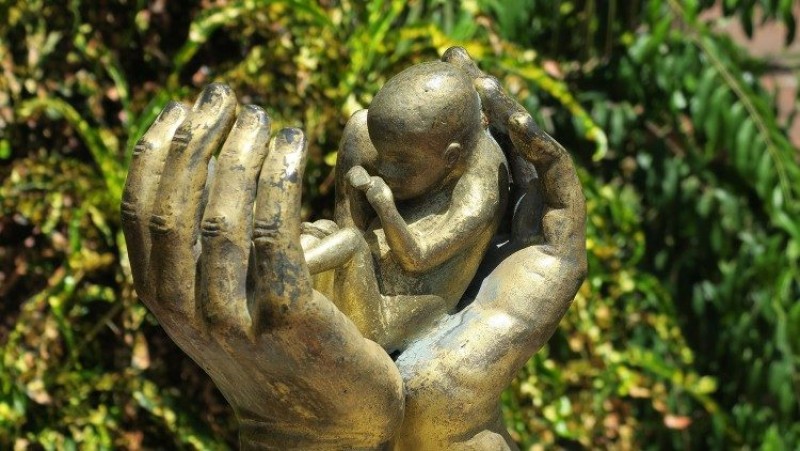 Bảo vệ sự sống - lời mời gọi của Đức Thánh Cha trong một thế giới còn nhiều đe dọa đối với sự sống