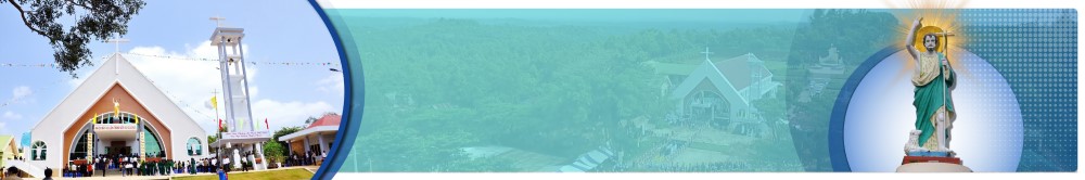 /uploads/banner.jpg