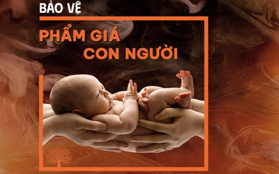 Vấn nạn mang thai hộ và việc bảo vệ phẩm giá con người